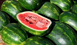 网红爆料吃瓜高清极品,揭秘吃瓜界的高清极品瞬间